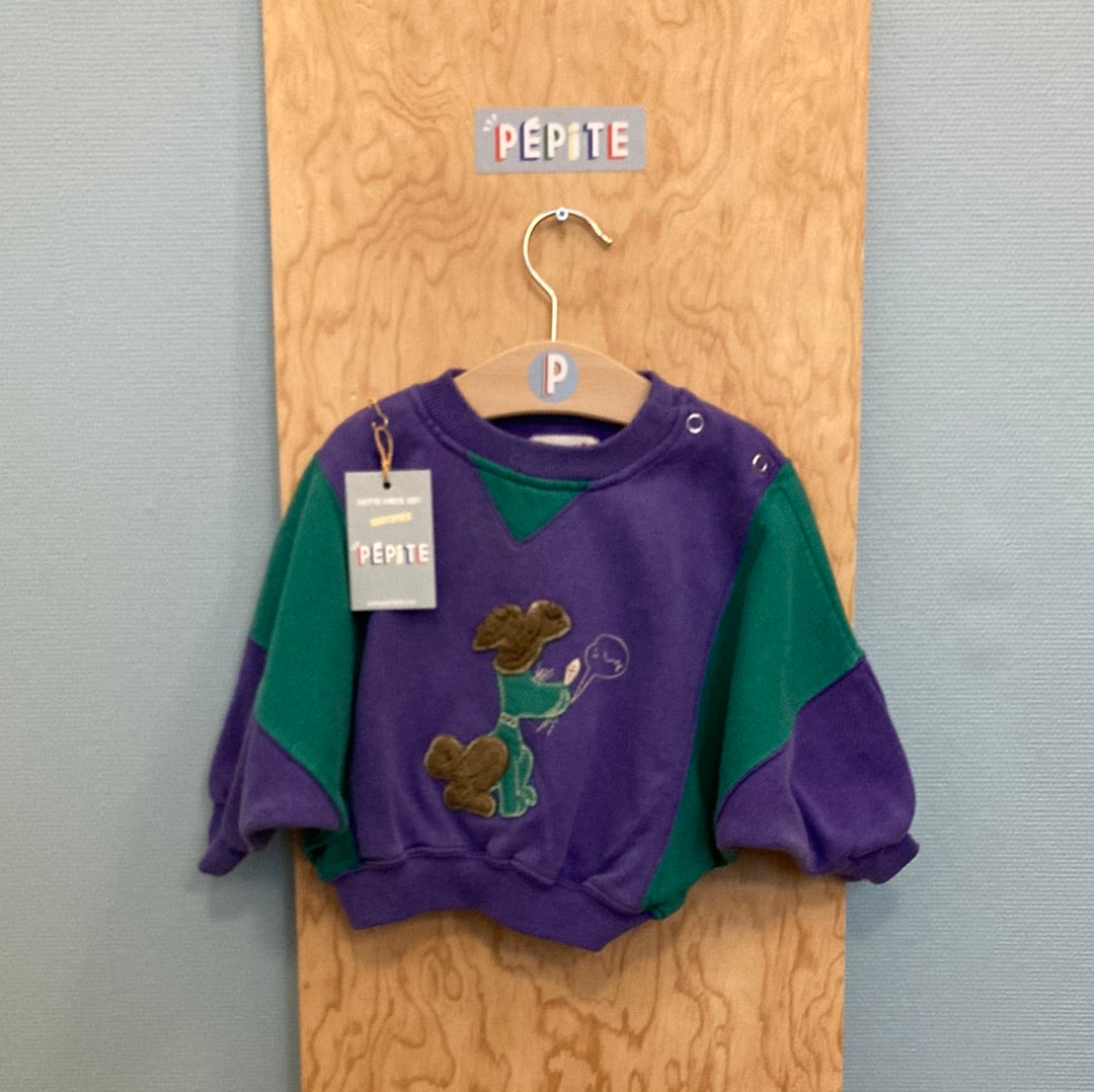 Sweat violet et vert