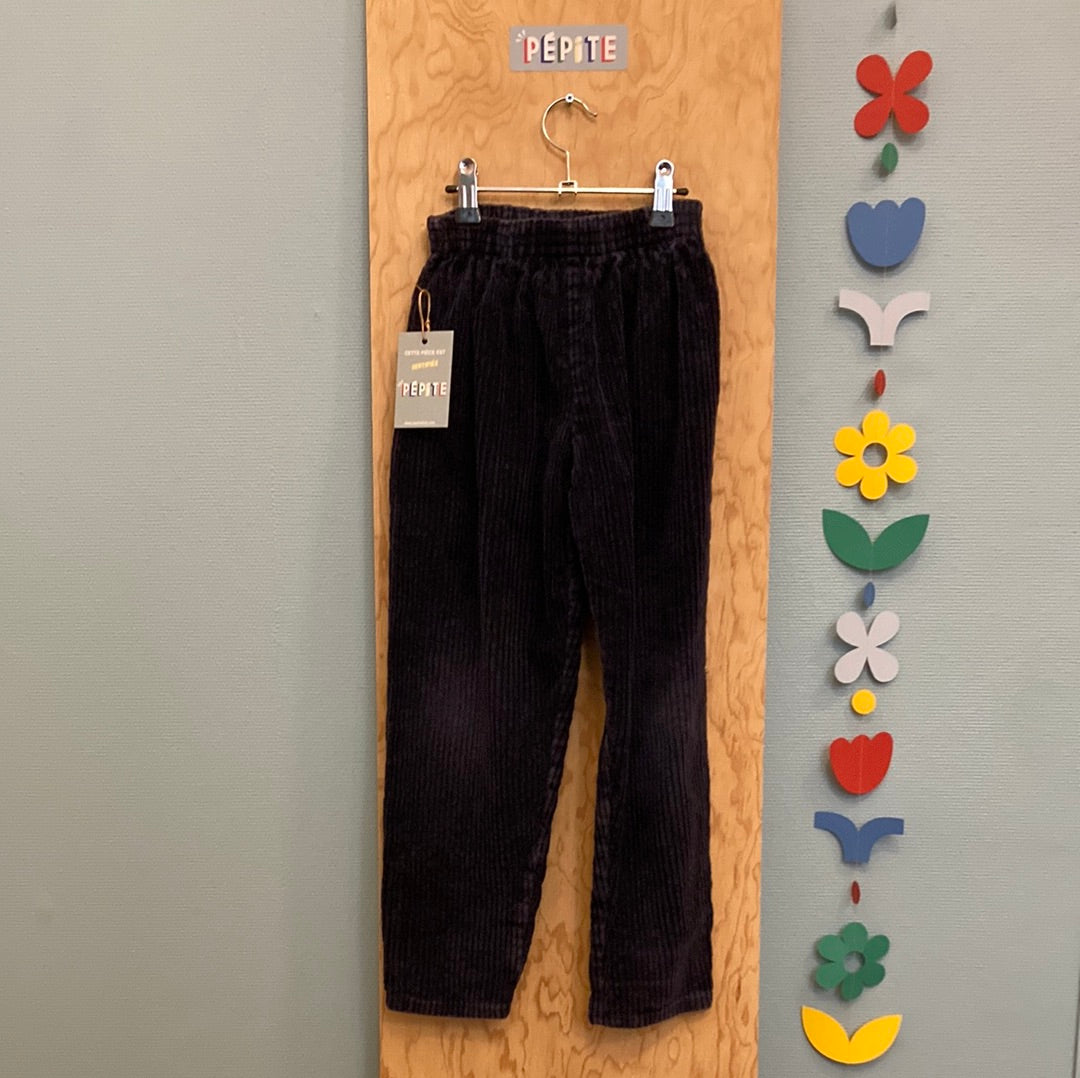 Pantalon velours