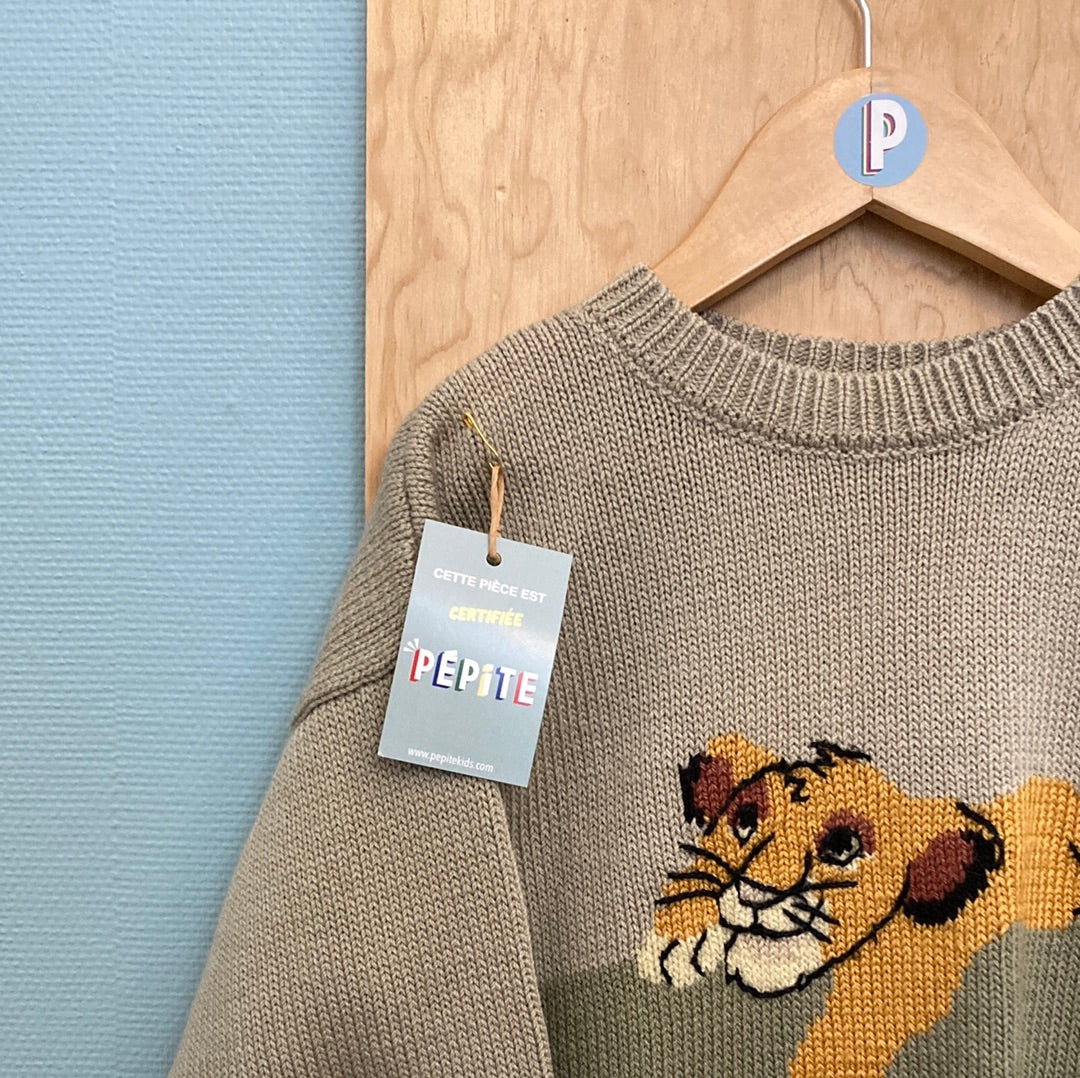 Pull Phildar Roi Lion