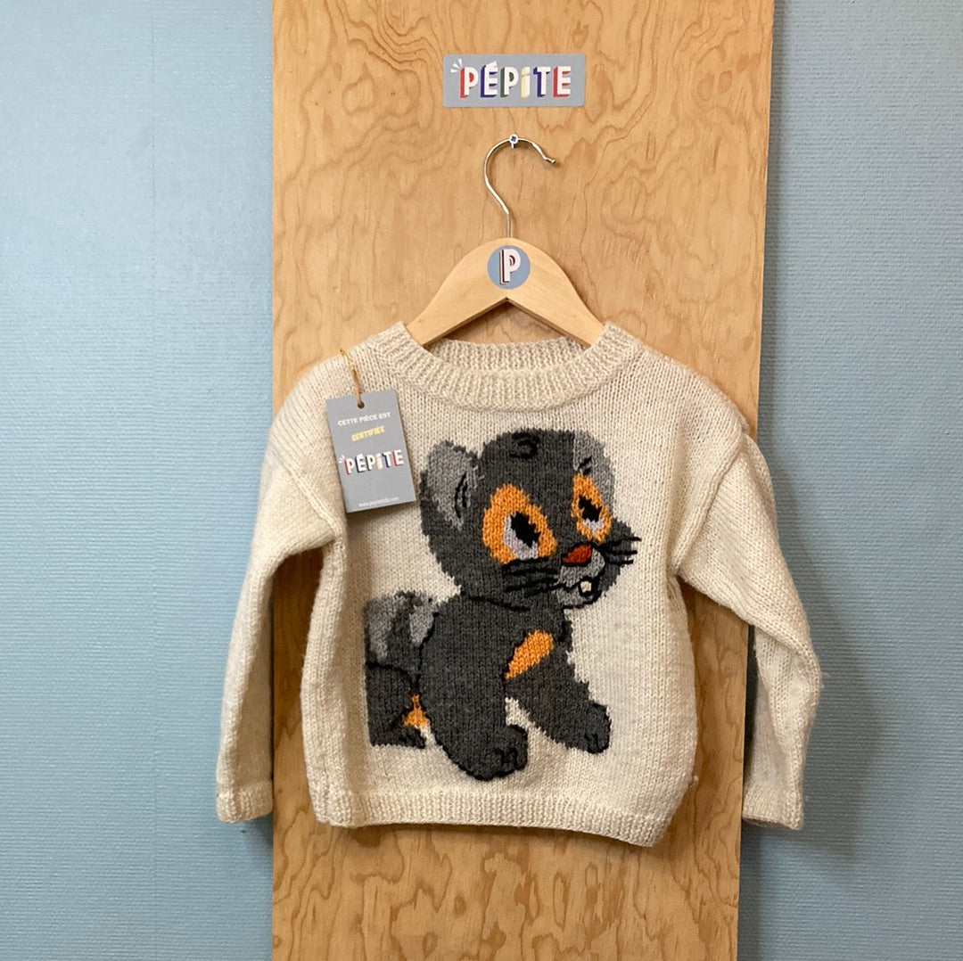 Pull Phildar aristochat