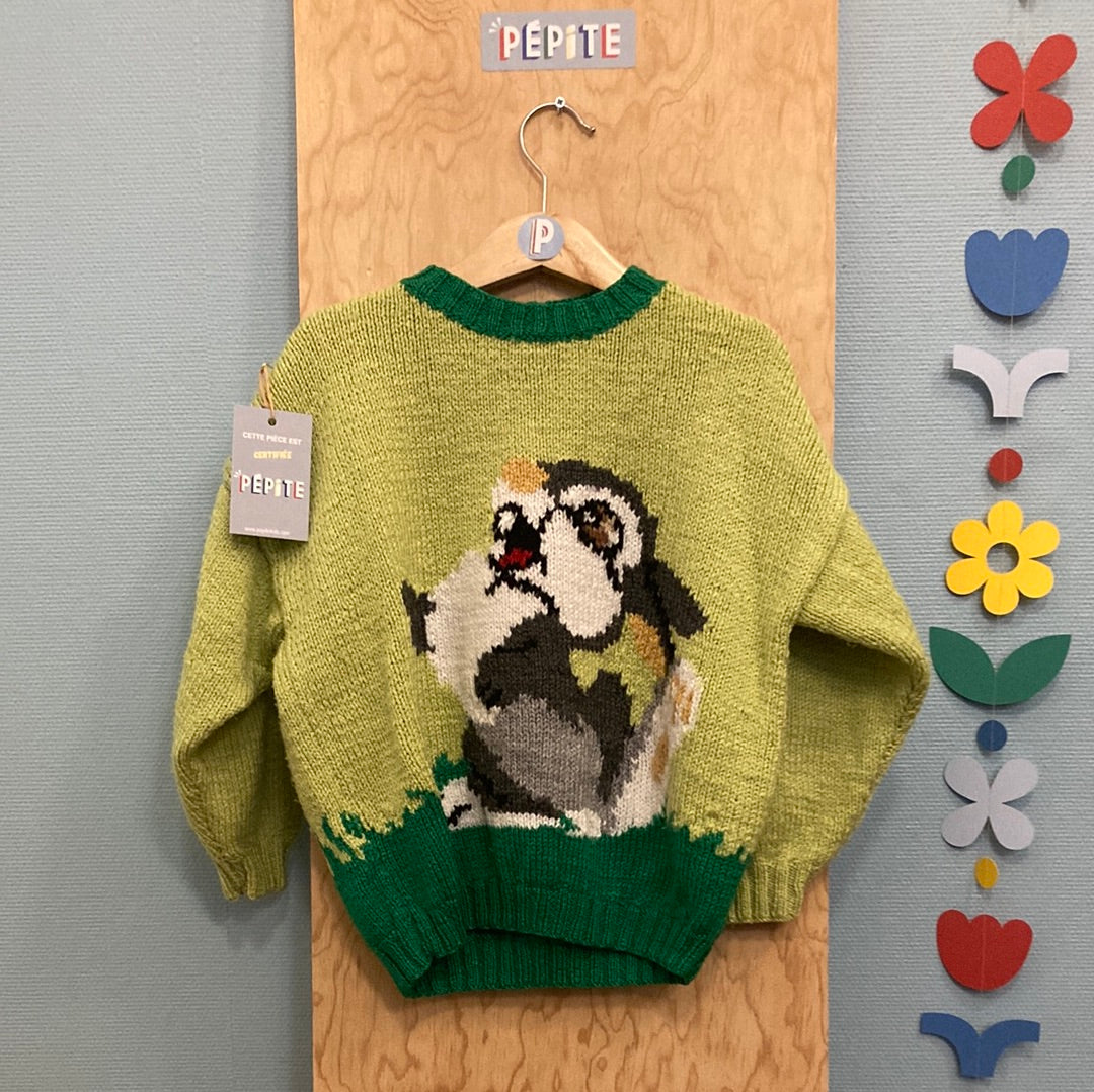 Pull Phildar panpan