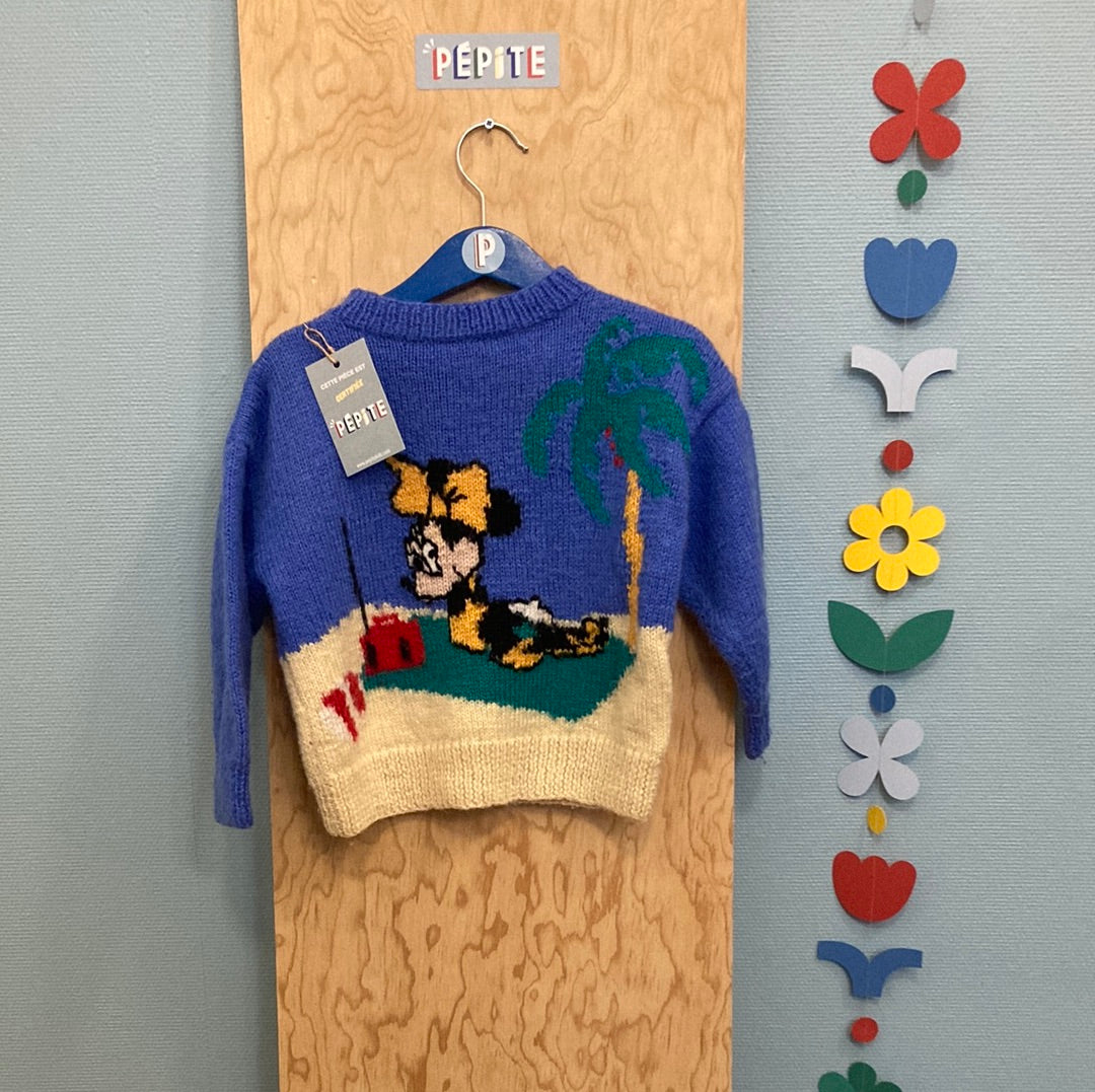 Pull Phildar Minnie