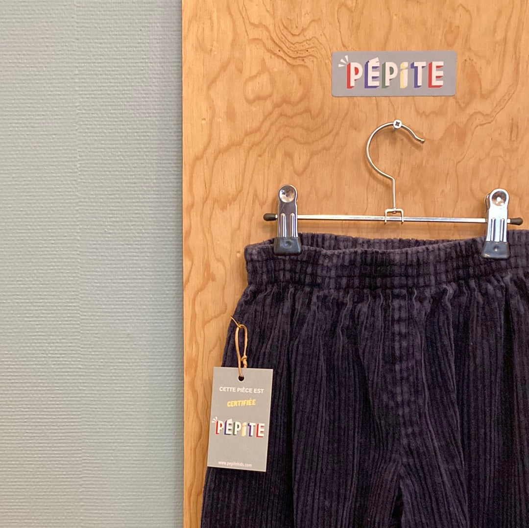 Pantalon velours