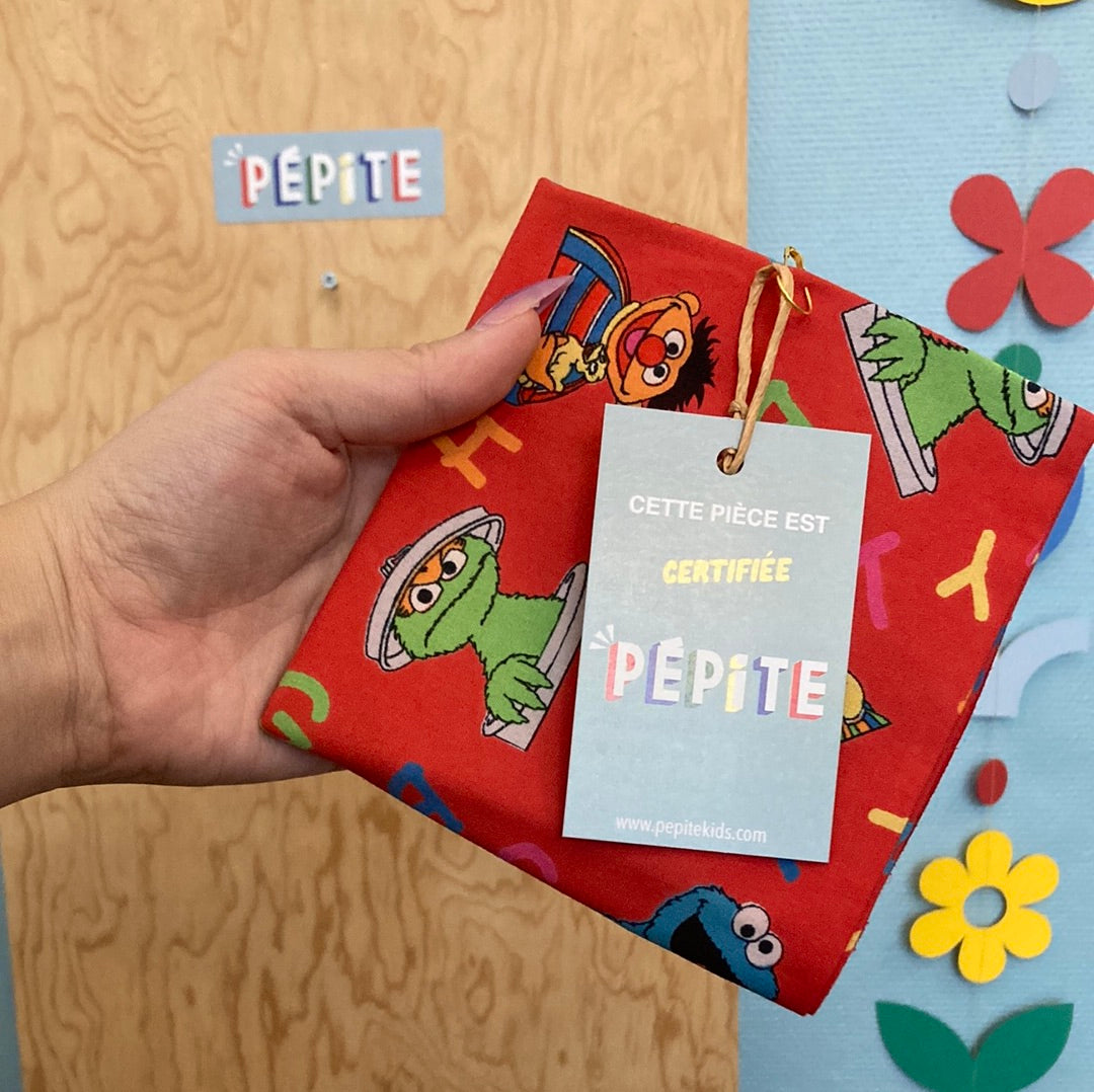 Bandana sesame street