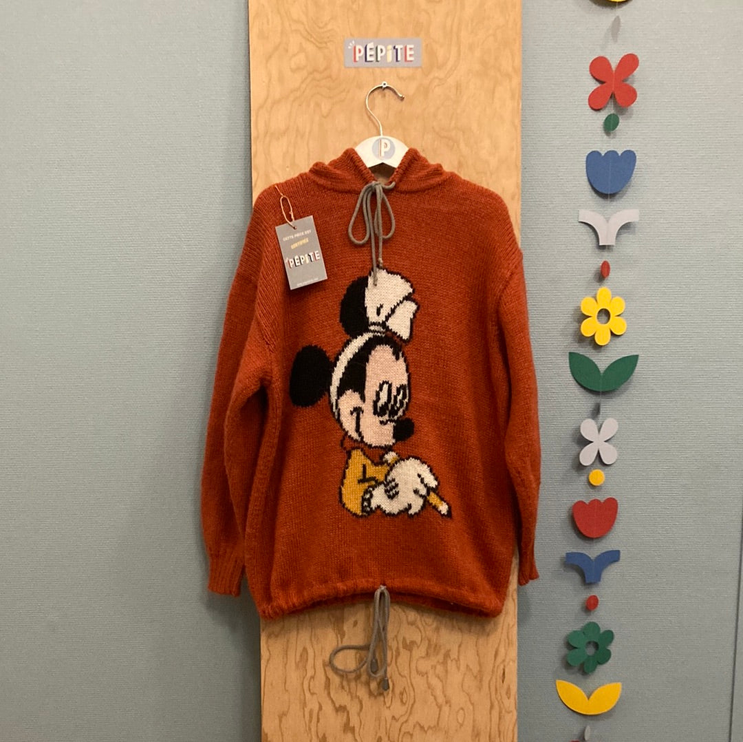 Sweat phildar Minnie