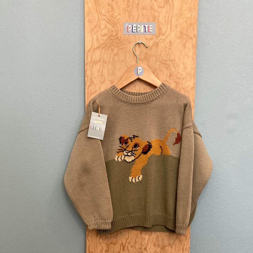 Pull Phildar Roi Lion