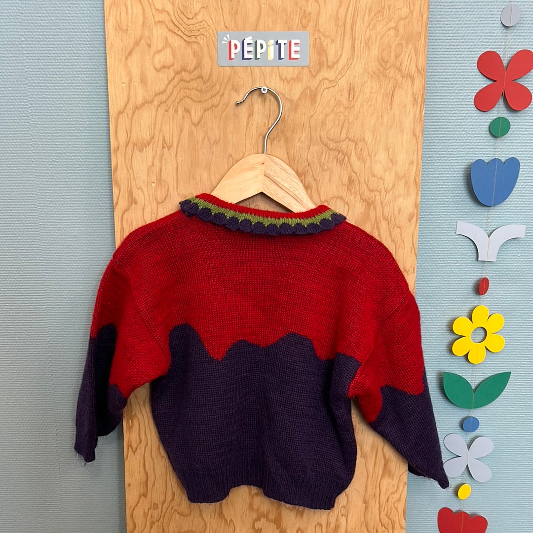 Pull fleuri colerette jolie