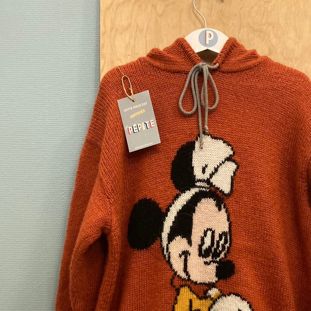 Sweat phildar Minnie