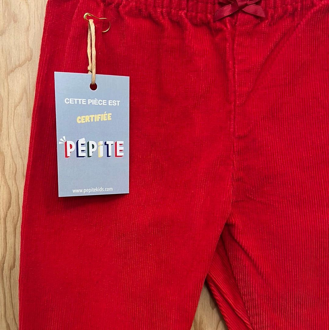 Pantalon velours